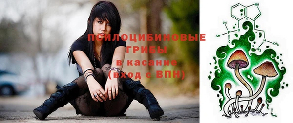 героин Алексин
