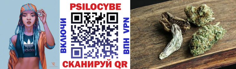 Псилоцибиновые грибы Psilocybe Александровское